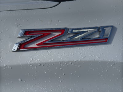 2020 Chevrolet Silverado 1500 Custom Trail Boss